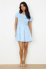 Like A Bluebird Dress